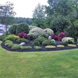 Green Arbor Landscape Limited, Middle Sackville, NS opening hours