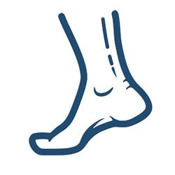 Active Alignment Orthotics & Bracing, Waterloo, ON opening hours