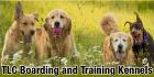 TLC Boarding and Training Kennels, Elk Point, AB opening hours