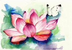 Newly Nails & Waxing, Pitt Meadows, BC opening hours