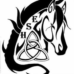 Excalibur Sport Horses, Onoway, AB opening hours