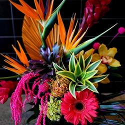BLOOMDIGGITY Floral & Plant Studio, Lethbridge, AB opening hours