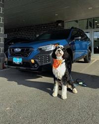 Subaru of Kingston, opening hours
