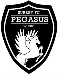 Surrey Football Club, opening hours