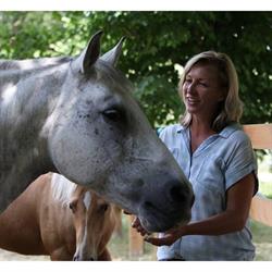 Leading Edge Equine Academy, Woodstock, ON opening hours