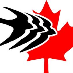 Swallow Immigration Consultancy Inc, Fredericton, NB opening hours