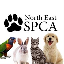 The Harry and Eve Vickar Shelter for the NESPCA, Melfort, SK opening hours