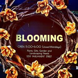 Blooming Flower Bar, Toronto, ON opening hours