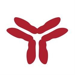 Red Maple Trials, Ottawa, ON opening hours