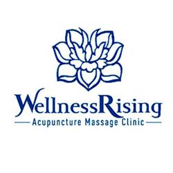 Wellnessrising Acupuncture, Edmonton, AB opening hours
