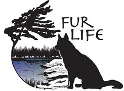 Fur Life Pet Specialty, Gravenhurst, ON opening hours