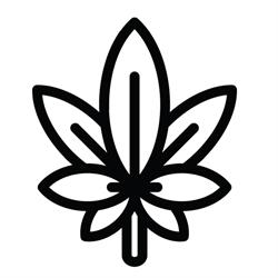 Spyder Cannabis Accessories Head Shop, Pickering, ON opening hours