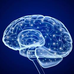 ClearMind Neurotherapy, Kingston, ON opening hours