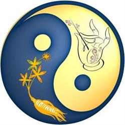 Tian You Classical Acupuncture Center, Richmond, BC opening hours