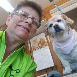 Scrub A Dog Grooming, Bathurst, NB opening hours