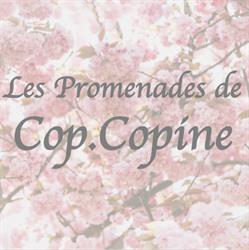 Promenades Cop Copines, Verdun, QC opening hours