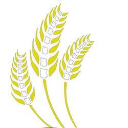Prairie Chiropractic and Wellness, Weyburn, SK opening hours