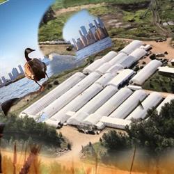 Bison Grow & Greenhouses, Calahoo, AB opening hours