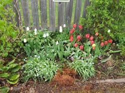 Greater Terrace Beautification Society, opening hours