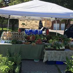 Branching Path Farm, Simcoe, ON opening hours