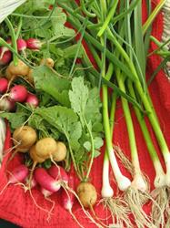 Inglewood Farmers' Market, opening hours