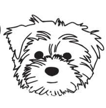 Toilettage et Boutique Puppy Country inc, Saint-Rémi, QC opening hours