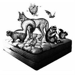 Feral Peril Wildlife & Pest Control Inc., Regina, SK opening hours