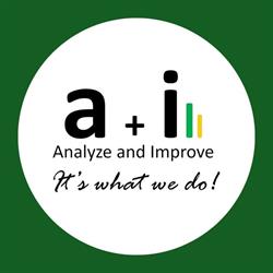 Analyze & Improve Inc, Toronto, ON opening hours