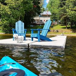 Gunter Lake Cottage, Gilmour, ON opening hours