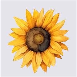 Calm the Soul Yoga & Wellness Studio, Tillsonburg, ON opening hours