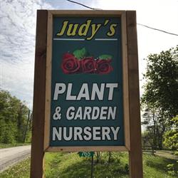 Judy's Plants, Cayuga, ON opening hours