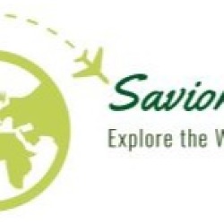 Savior Tours, Mississauga, ON opening hours