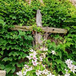 Living Faith Community Presbyterian, Angus, ON opening hours