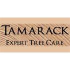 Tamarack Expert Tree Care, Sudbury, ON opening hours