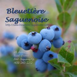Bleuetière Saguenoise, Petit-Saguenay, QC opening hours