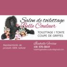 Salon de Toilettage Belle Couleur, Scott, QC opening hours
