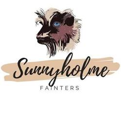 SUNNYHOLME FAINTERS, Port Howe, NS opening hours