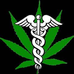 Cannabis For Life, Chester, NS opening hours