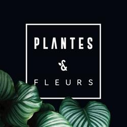 Plantes Et Fleurs, Jonquière, QC opening hours