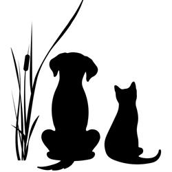 Linley Valley Veterinary Clinic, Nanaimo, BC opening hours