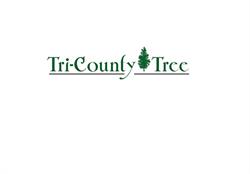 Tri-County Tree, Frankford, ON opening hours