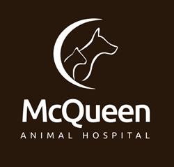 Mcqueen Animal Hospital, Brampton, ON opening hours