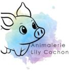 Animalerie Lily Cochon Inc, Rigaud, QC opening hours