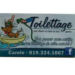 Toilettage Carole, Sainte-Agathe-des-Monts, QC opening hours