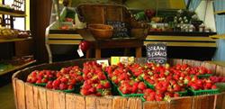 Matz Fruit Barn, Port Dover, ON opening hours