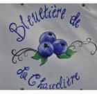 Bleuetière de la Chaudière, Saint-Patrice-de-Beaurivage, QC opening hours
