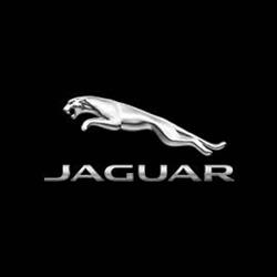 Jaguar de Québec, opening hours