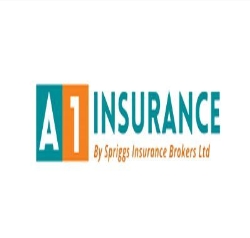 A1 Commercial Insurance of Oakville, opening hours