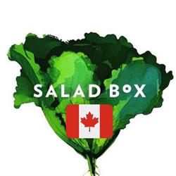 Salad Box, North Vancouver, BC opening hours