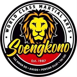 Soengkono World Class Martial Arts, Thunder Bay, ON opening hours